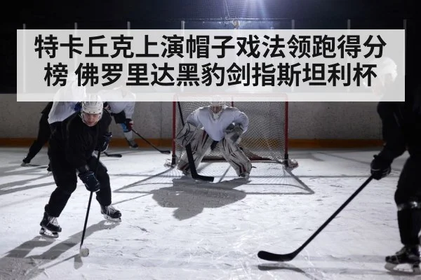 hockey rink action